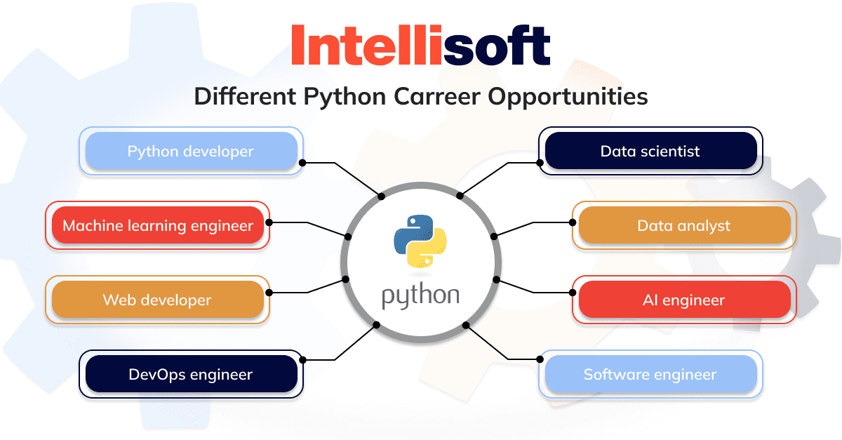 Python developer works