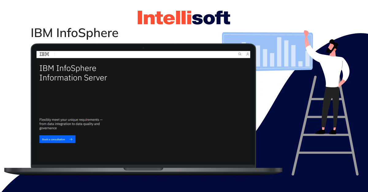 IBM Software Data Mapping Tool 